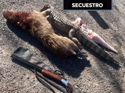 Infracción a la ley de conservación de la fauna silvestre