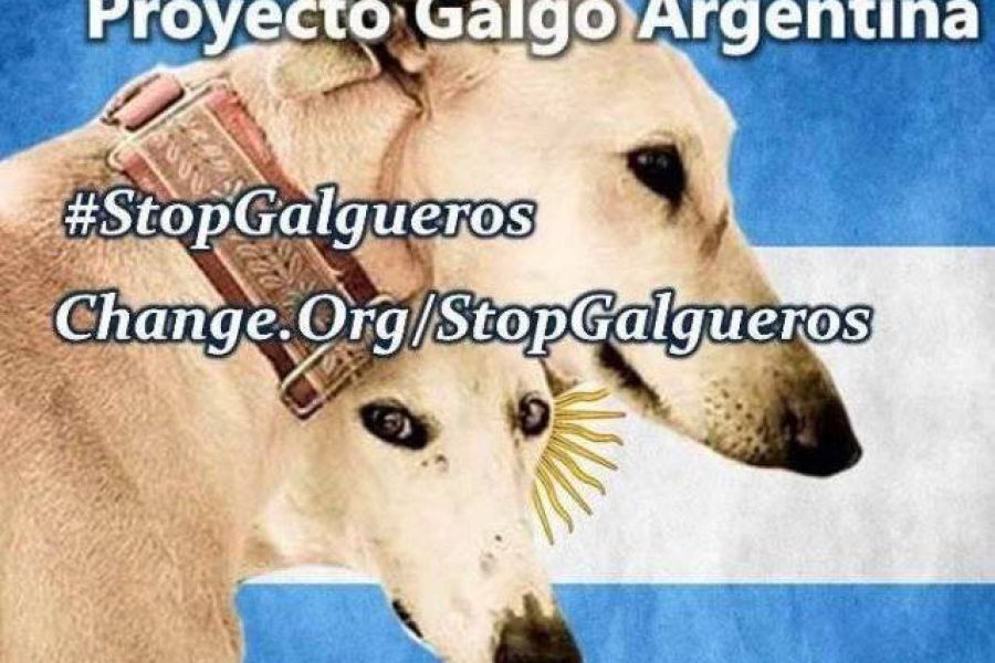 Proyecto Galgo Argentina