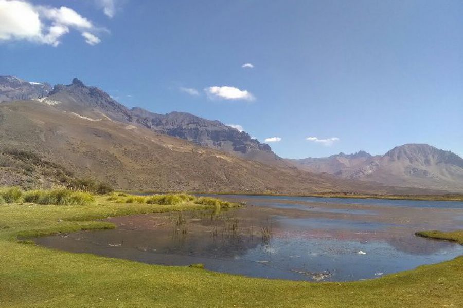 Cordillera de los Andes - Foto Marcelo Degiorgio