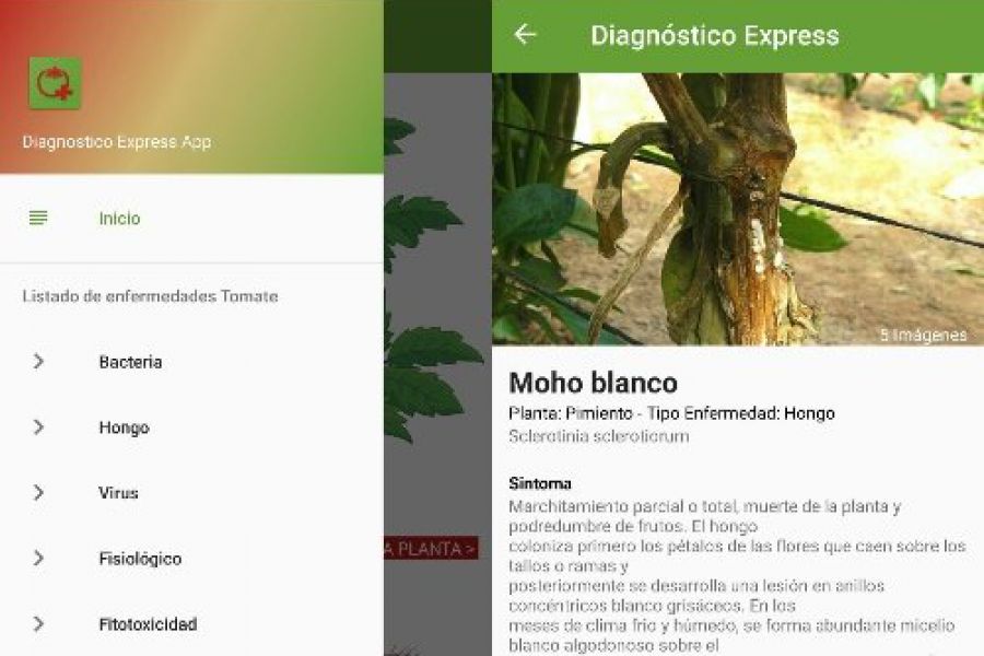 App Doagnostico Express