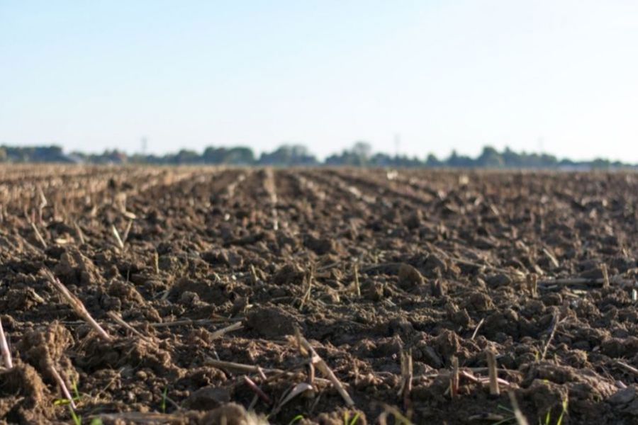 Fertilidad de los suelos: ¿Cómo esta hoy Santa Fe?