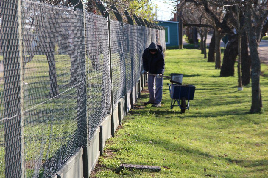 Trabajos en el Poli Comunal