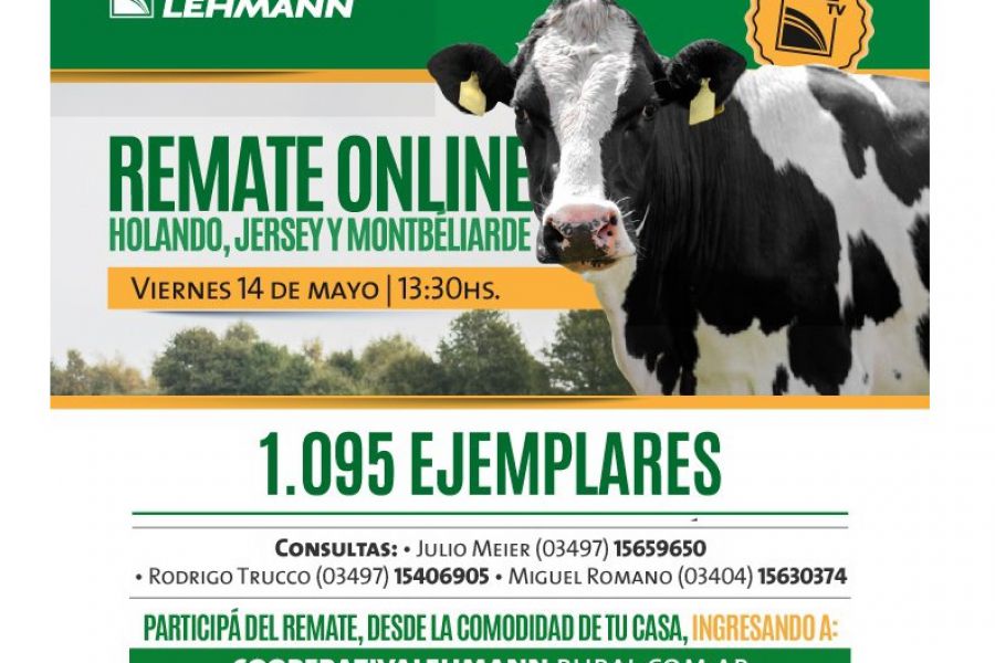 Remate online de La Lehmann con 1095 ejemplares