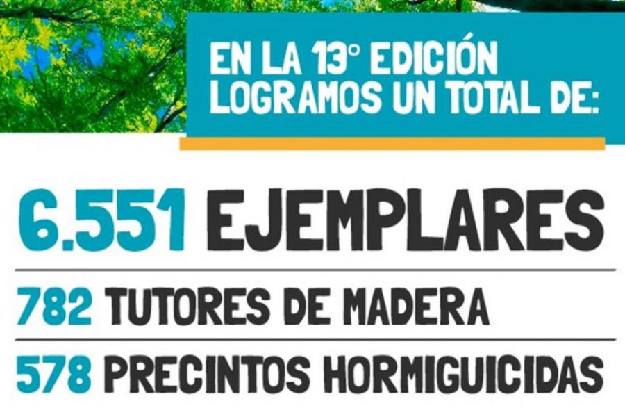 6.551 nuevos árboles al Proyecto Forestal