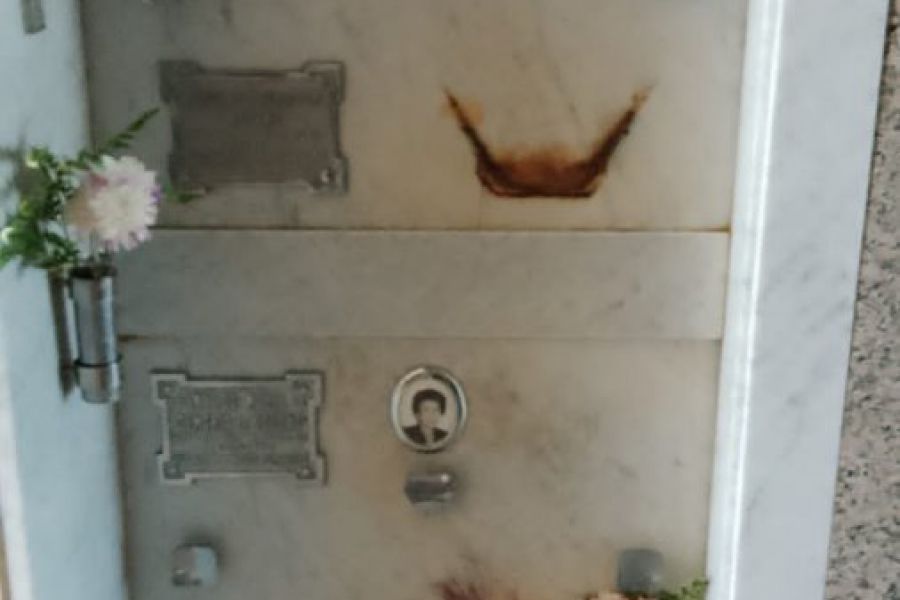 Robo y vandalismo en el Cementerio de San Agustín