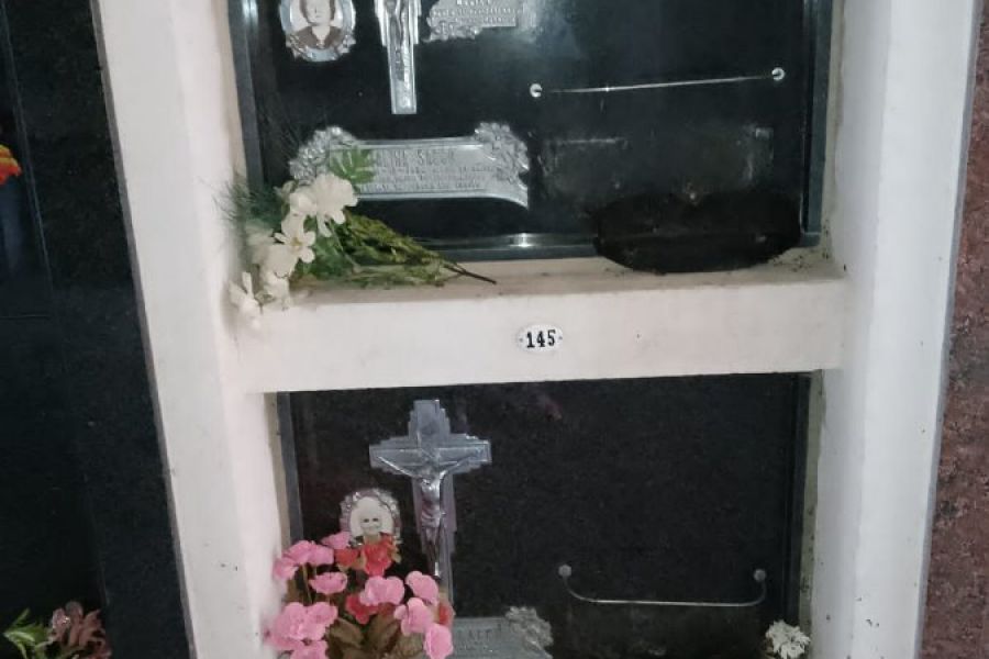 Robo y vandalismo en el Cementerio de San Agustín