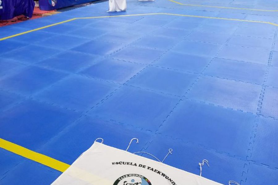 CSyDA en Torneo Clasificatorio de Taekwondo WT