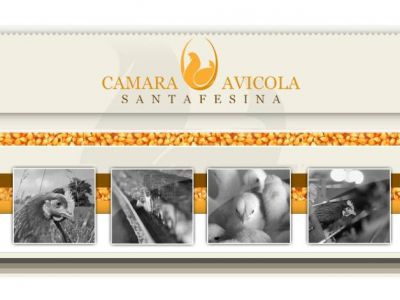 2 de Julio: Día de la Avicultura Nacional