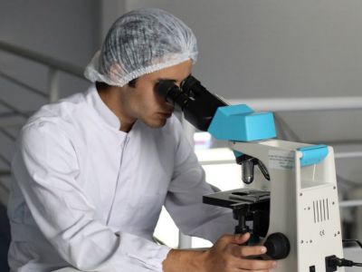 Agencia ambiental de EE.UU. reafirmó que el glifosato no causa cáncer