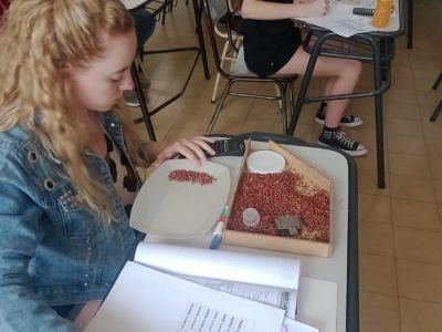 Estudiá Perito Clasificador de Granos