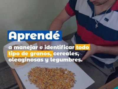 Podés ser Perito Clasificador de Granos
