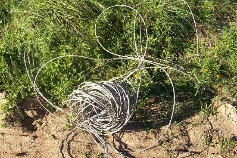 Cables robados - Foto Relaciones Policiales URXI