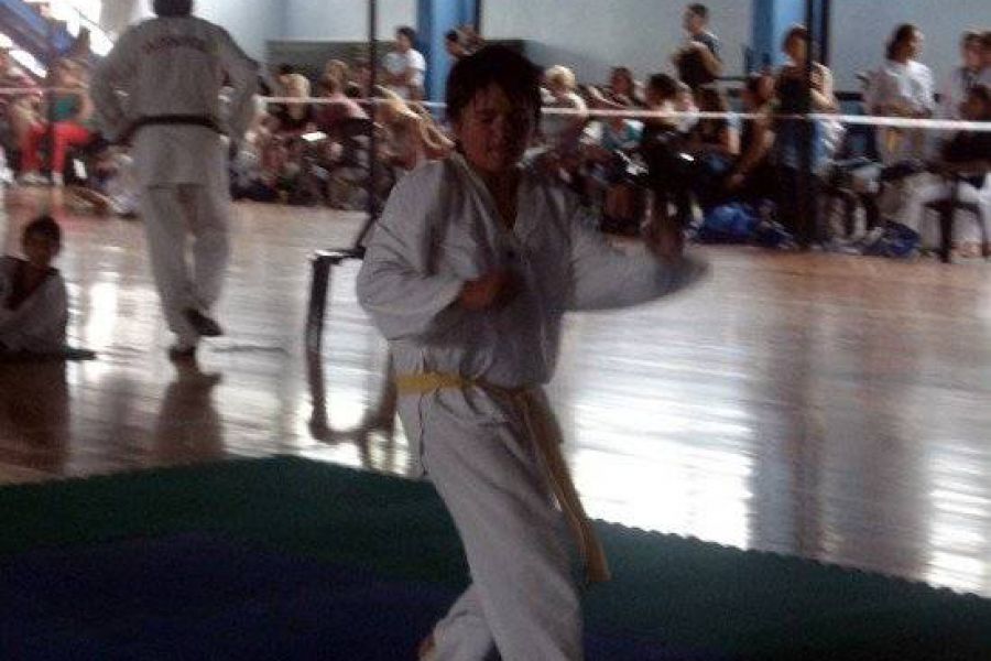 Torneo Provincial de Taekwondo - Foto Romina Mansilla
