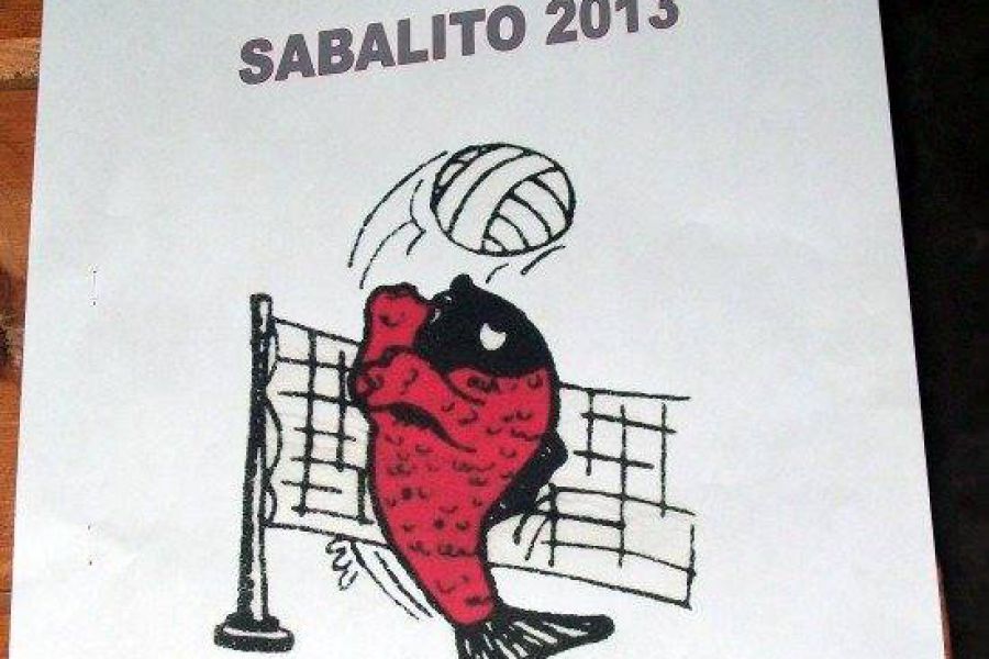 Minivoley El Sabalito 2013 - Foto FM Spacio