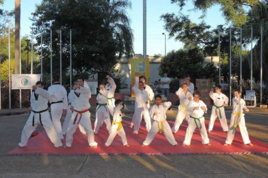 Demostracion de Tae Kwondo - Foto Comuna de Franck