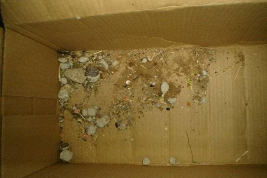 Actos de vandalismo en Jardin - Foto FM Spacio