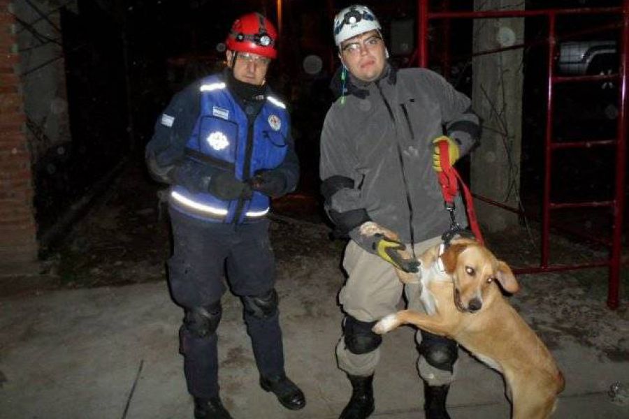 Brigada canina - Foto Gustavo Wilkelman