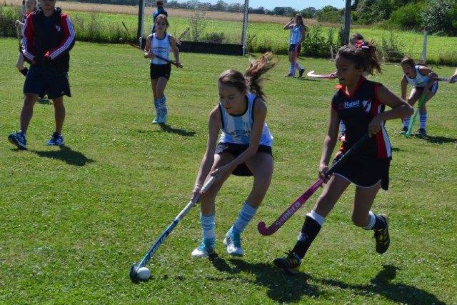 Hockey infantil CAF - Foto FM Spacio