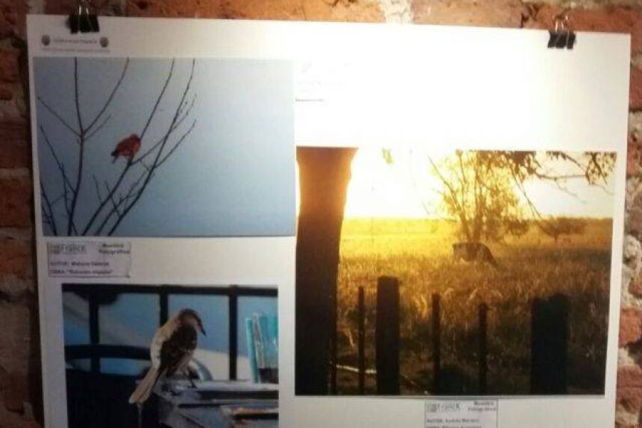 Muestra Fotografica - Foto FM Spacio