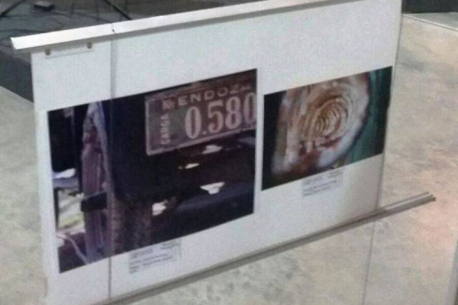 Muestra Fotografica - Foto FM Spacio