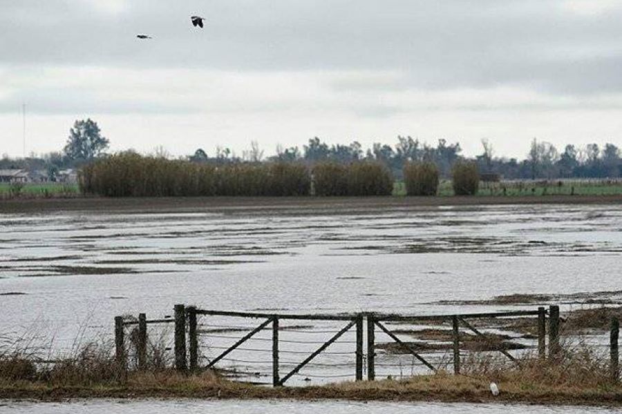 Las lluvias y la humedad vuelve a complicar al campo