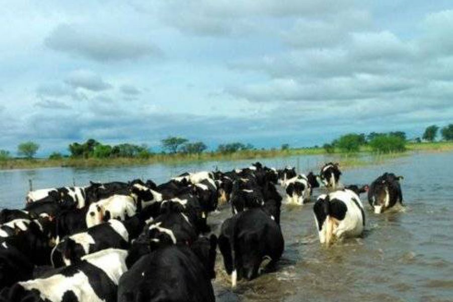 El INTA junto a los productores frente a los excesos hídricos