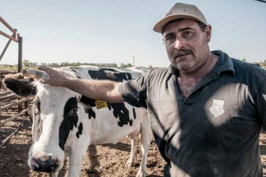 Otorgan compensaciones por 320 millones de pesos a los tamberos