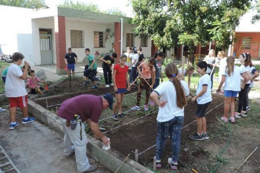 Huerta organica - Foto FM Spacio