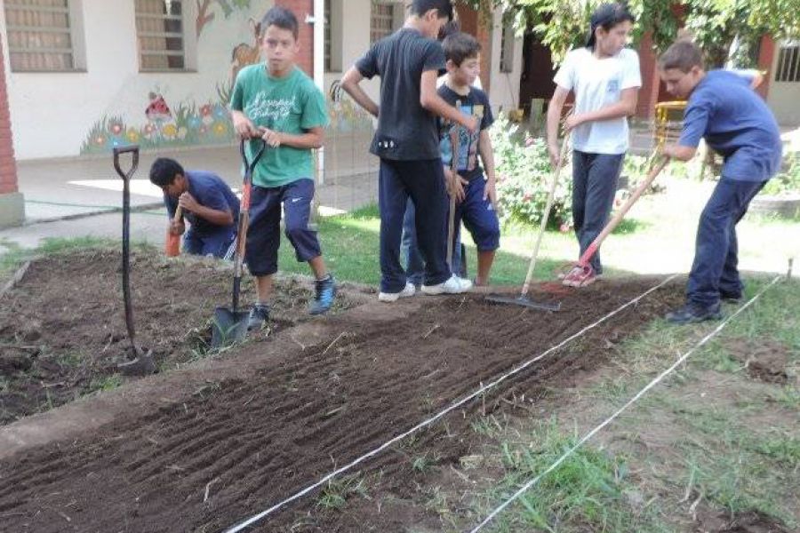 Huerta organica - Foto FM Spacio