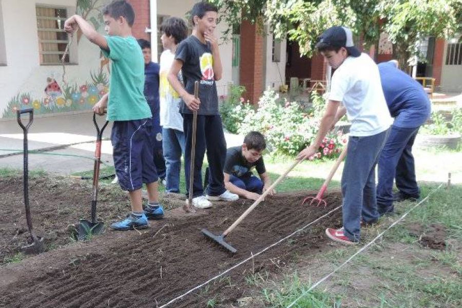 Huerta organica - Foto FM Spacio