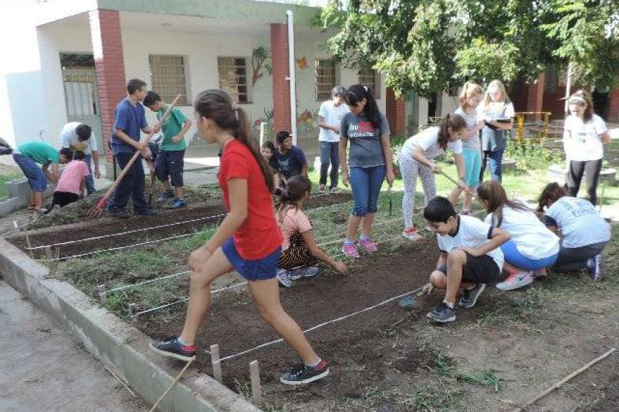 Huerta organica - Foto FM Spacio