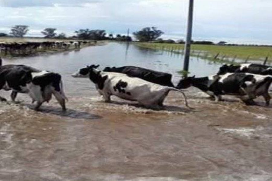 El sector agropecuario ante las inundaciones