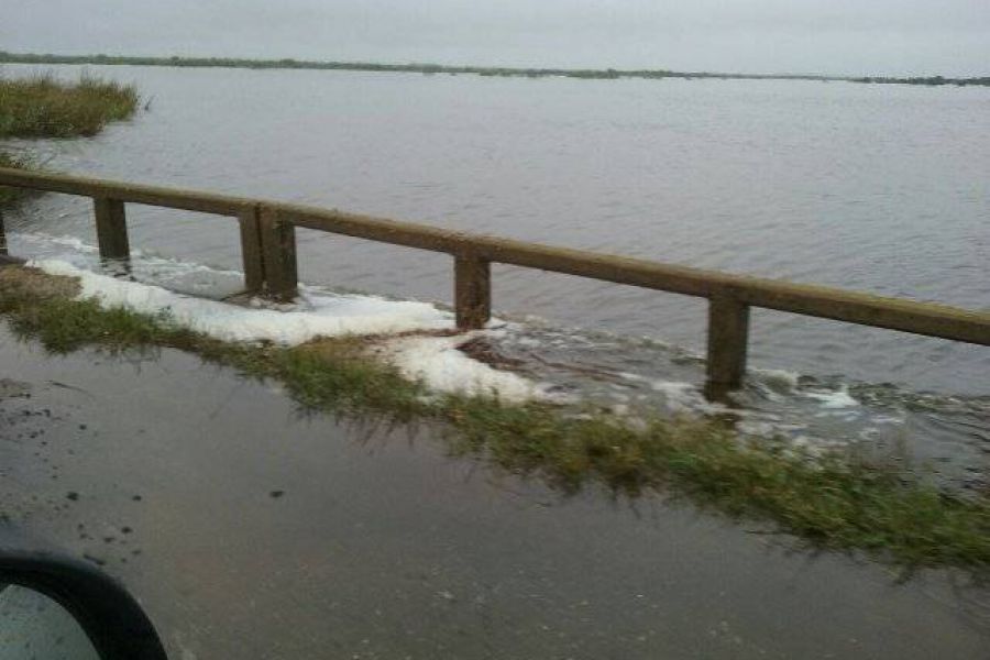 Pirola en puentes de RP 4