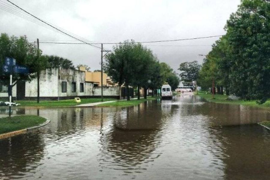 Pirola en Providencia