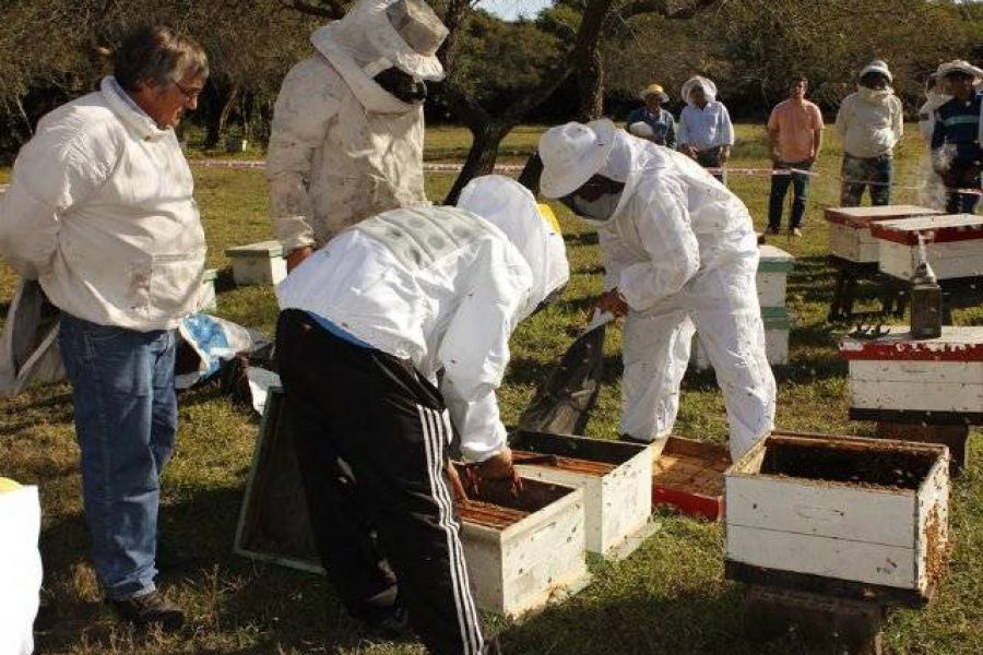 Actividad en Campo - Foto AAM