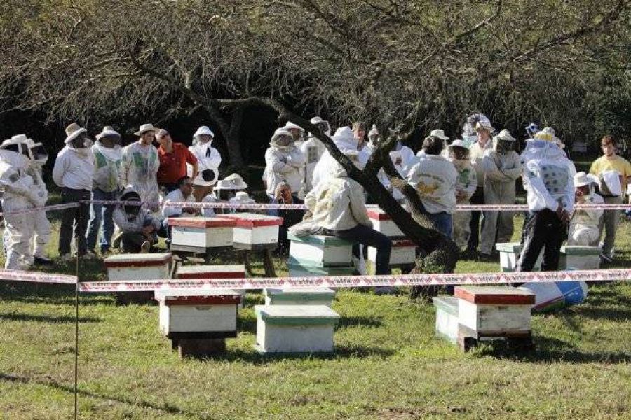 Actividad en Campo - Foto AAM