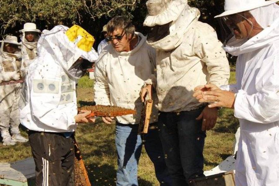 Actividad en Campo - Foto AAM