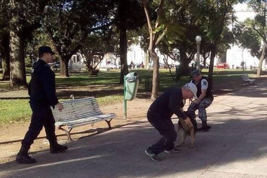 Seccion Perros - Foto URXI