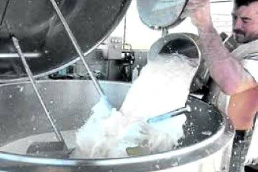 El precio de la leche se estanca