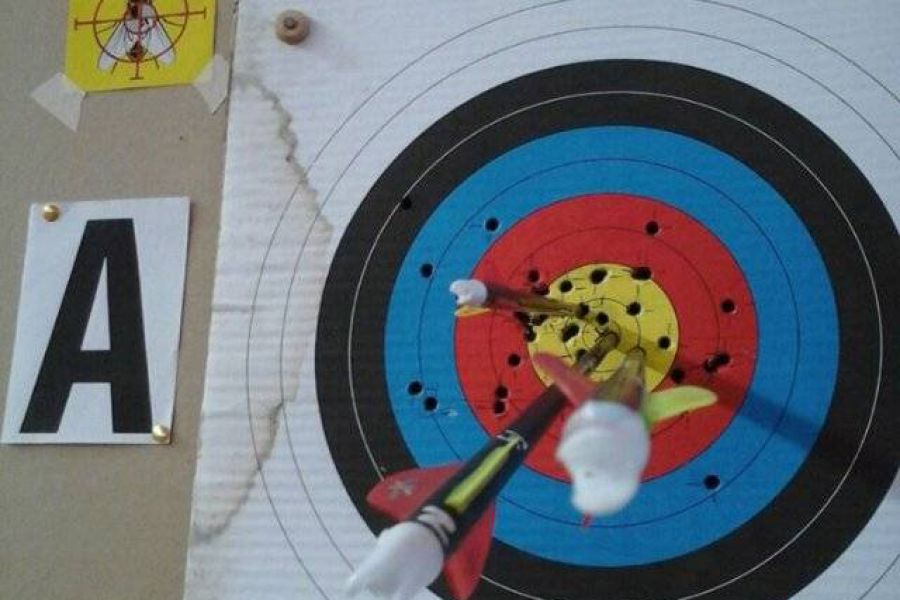 Copa Challenger de Arqueria - Foto Lickiewicz