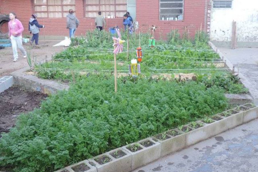 Huerta Escuela Primaria - Foto FM Spacio