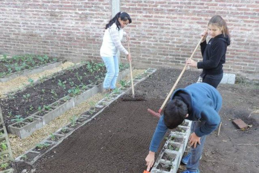 Huerta Escuela Primaria - Foto FM Spacio