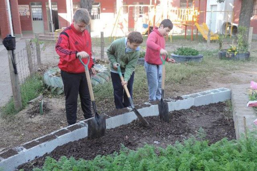 Huerta Escuela Primaria - Foto FM Spacio