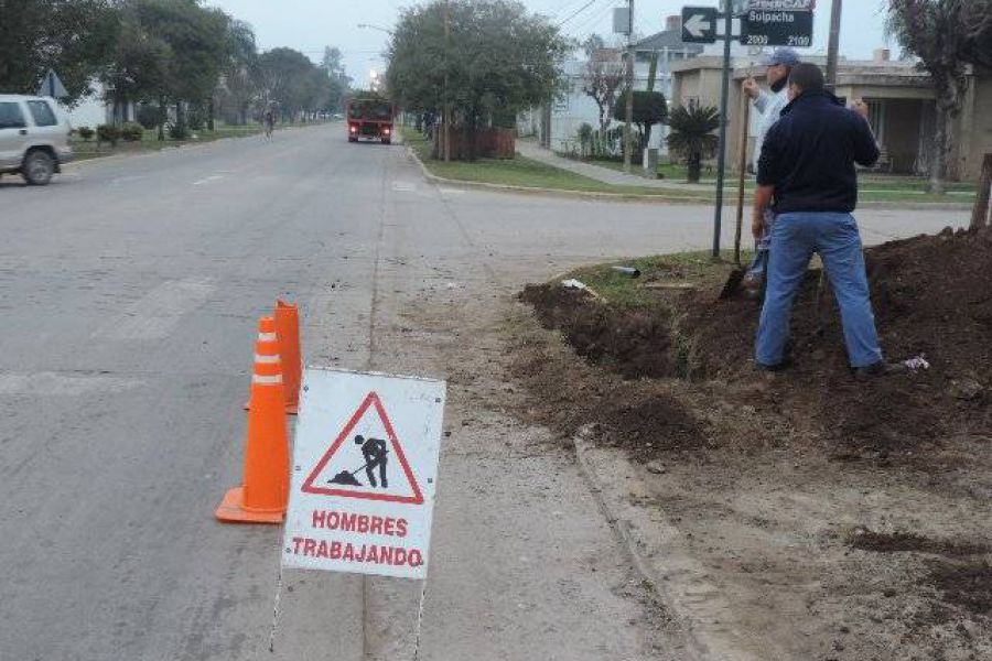 Trabajos de la Cooperativa - Foto FM Spacio