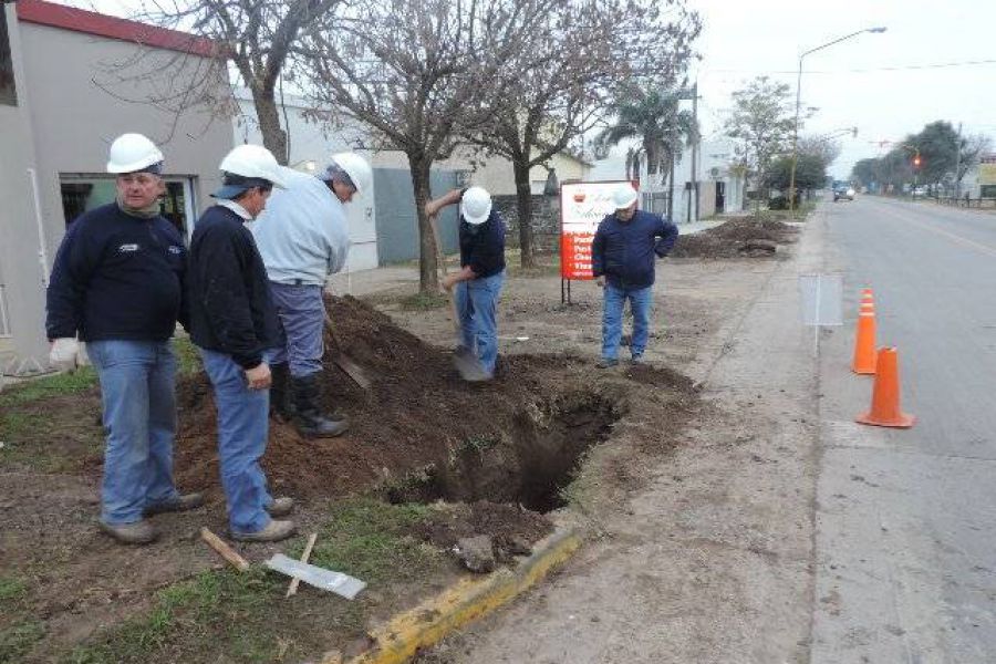 Trabajos de la Cooperativa - Foto FM Spacio