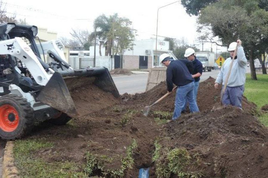 Trabajos de la Cooperativa - Foto FM Spacio