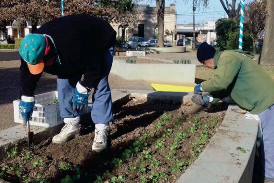 Plantación de plantines y especies arbóreas