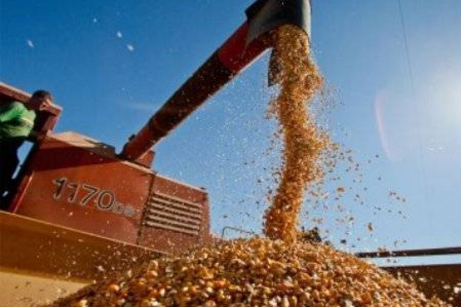 El campo se consolida como el principal motor de las exportaciones