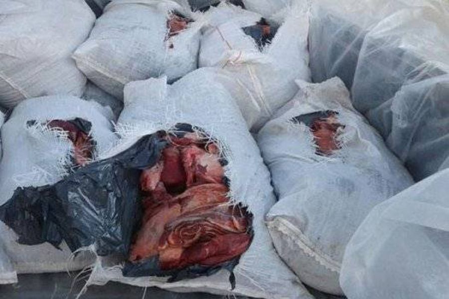 Detenido por transportar carne en forma ilegal e intento de soborno