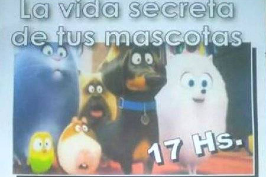 La vida secreta de tus mascotas